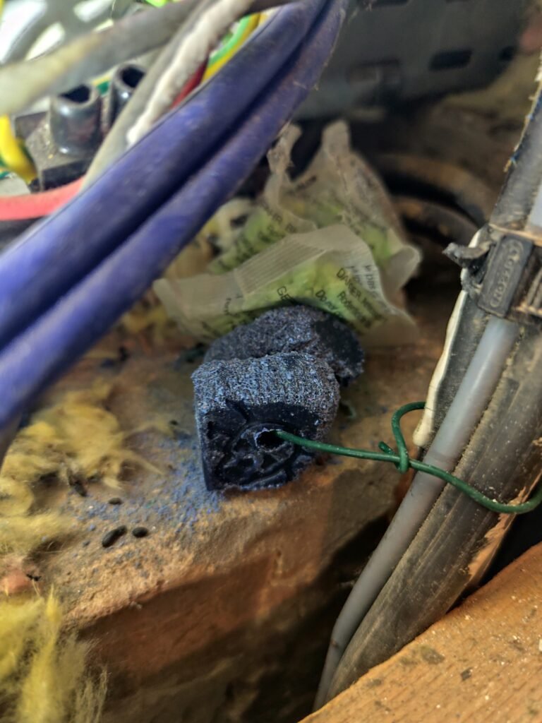 Appât professionnel de dératisation et câbles rongés - intervention Inex Nuisibles Arras