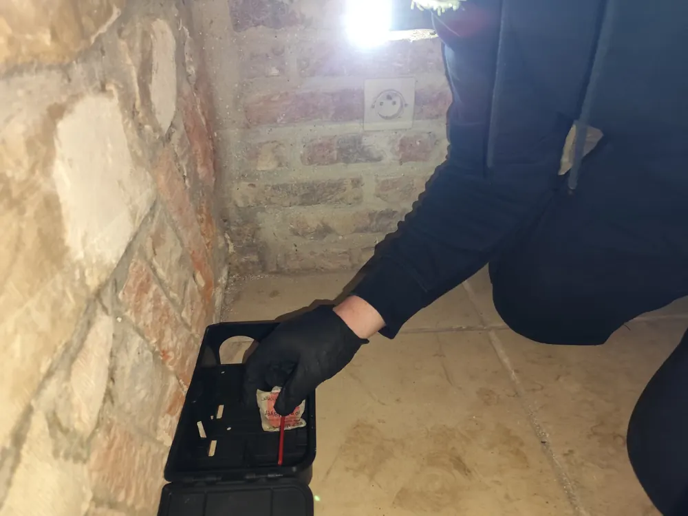 Contrôle d'un poste d'appâtage sécurisé avec appât placebo, dans la cave d'un restaurant à Arras